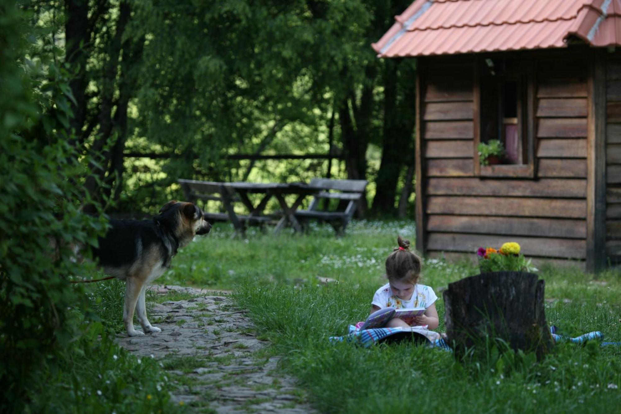 Grab Ethno Village And Camp Scepan-Polje Номер фото