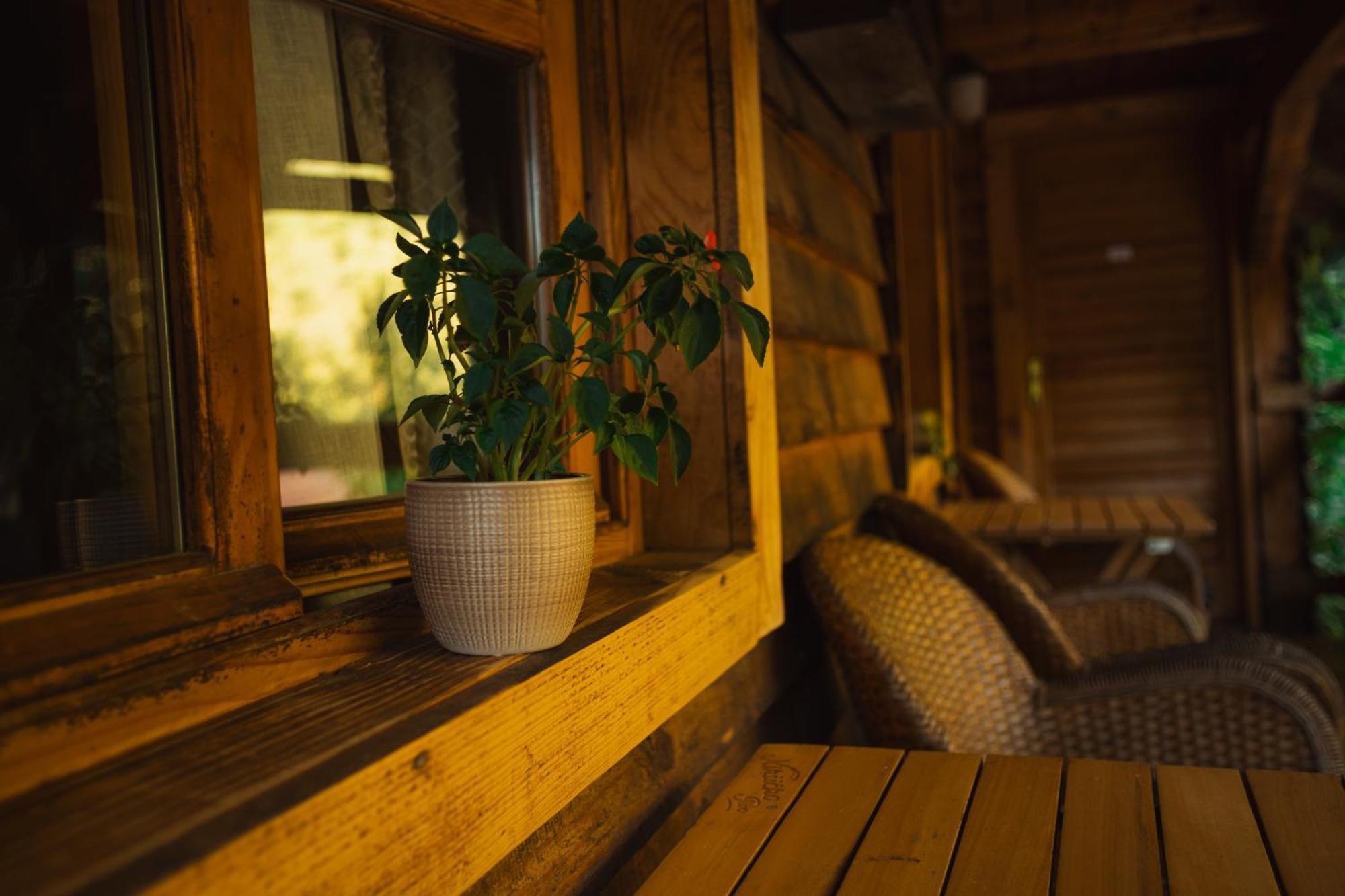 Grab Ethno Village And Camp Scepan-Polje Екстер'єр фото