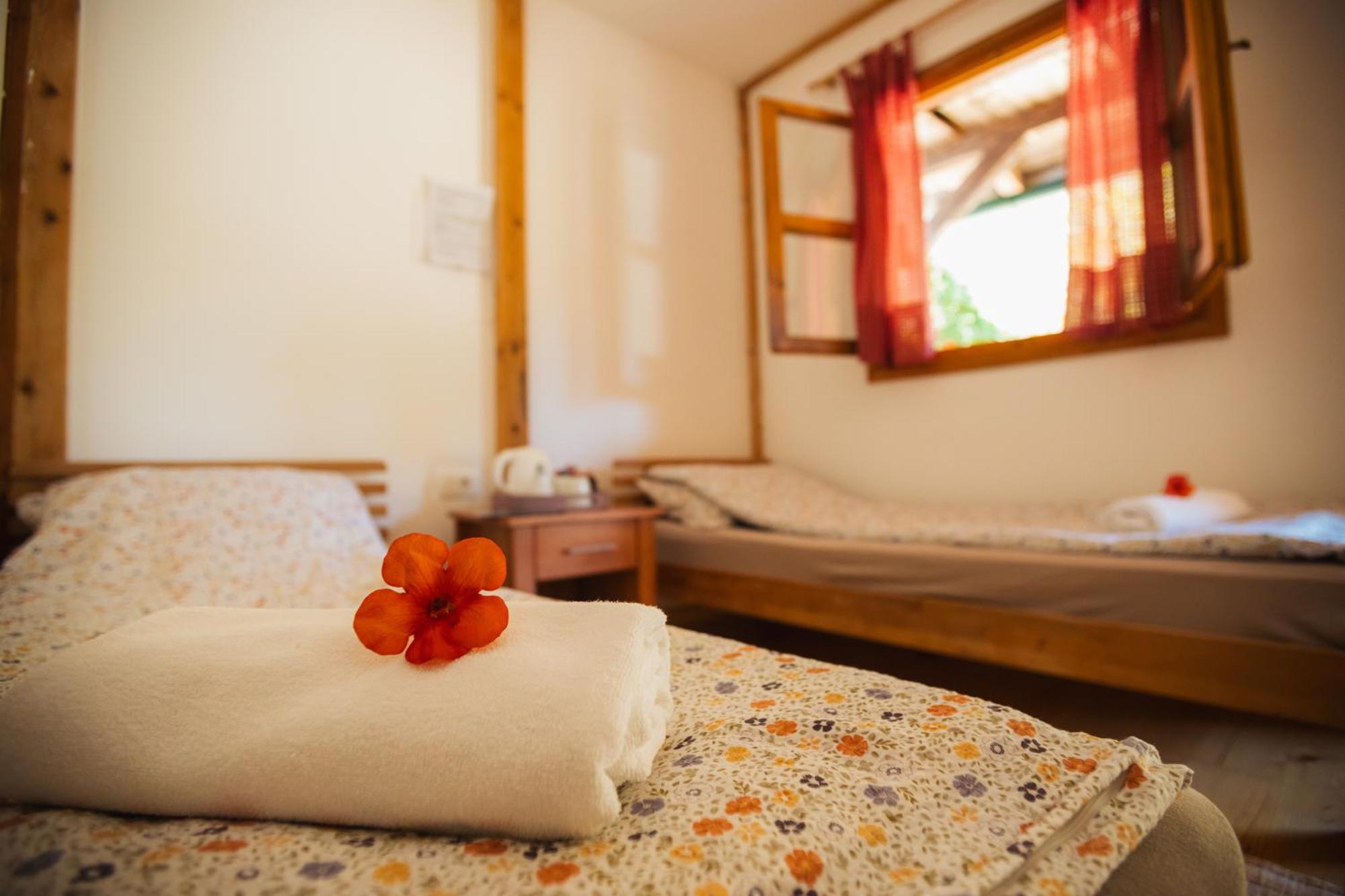 Grab Ethno Village And Camp Scepan-Polje Екстер'єр фото